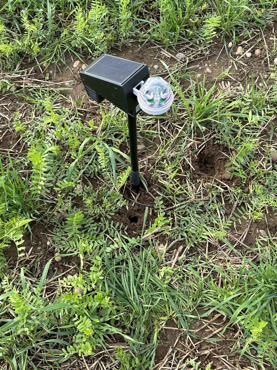 willoliver88's tweet image. New probes going in today which would give half hourly readings. Looking at all aspects of soil health. Carbon, Organic Matter%, N,P,K and also micro nutrients. Interesting to see how our operations will affect readings. #enableiot