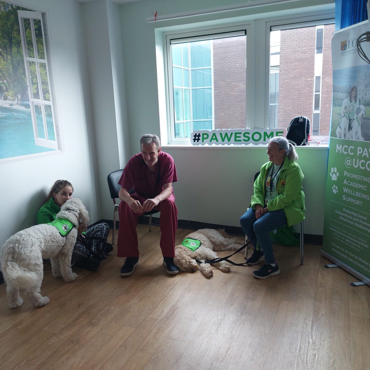 CUH Intensive Care Unit had their first (of many!) visits today from Anna and Hazel 🐶 Thanks to Maria and our Clinical Facilitator, CNM & ANP teams, Clinical Leads, CUH nursing management and @ihartigan ✨ Smiles brought to many faces this morning ❤️ posted with full consent