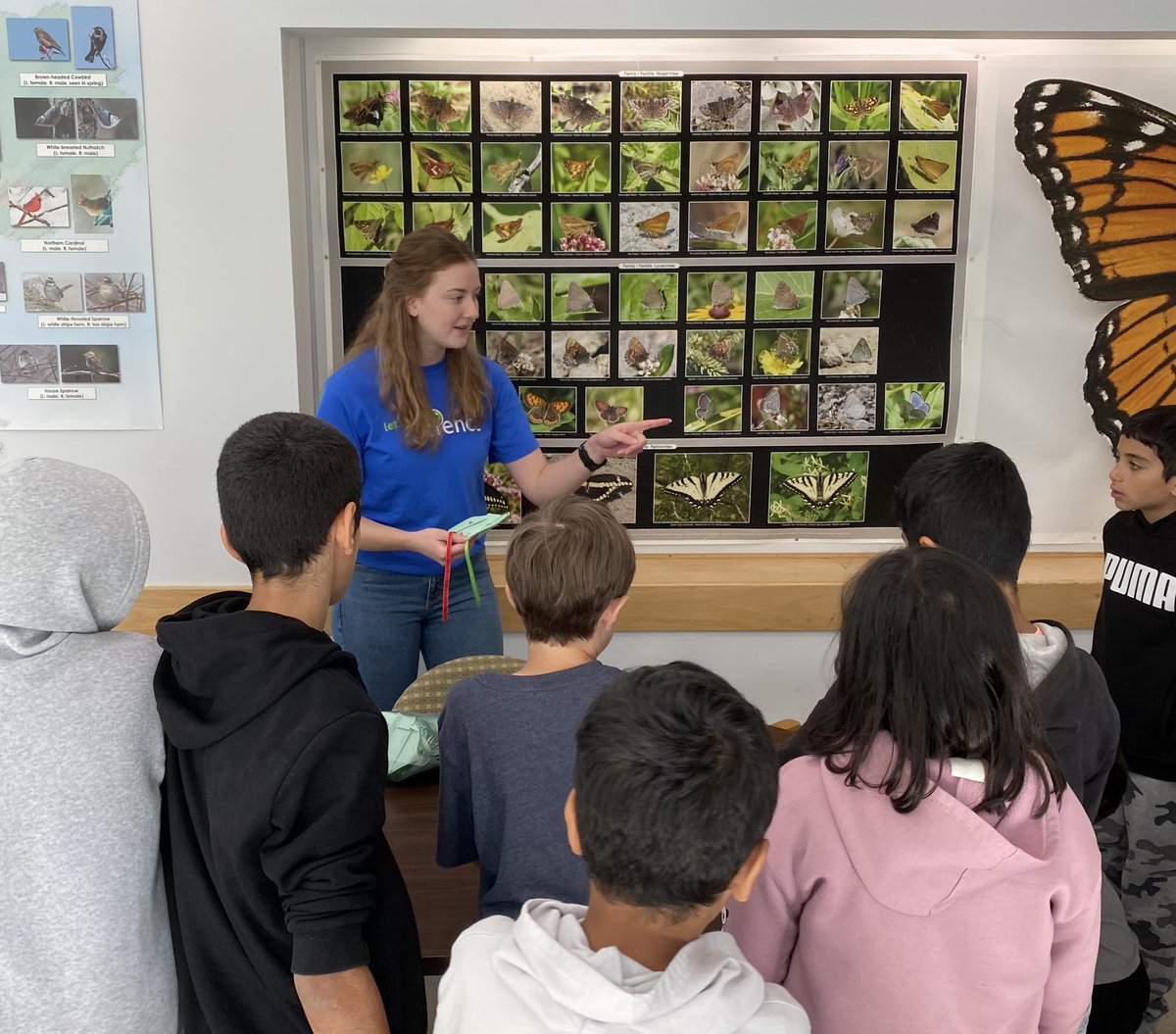 misterpete's tweet photo. Butterflies 🦋 #fieldtrip             @QueenEPC #students #education #school @OCDSB https://t.co/yVjeKLmcjP