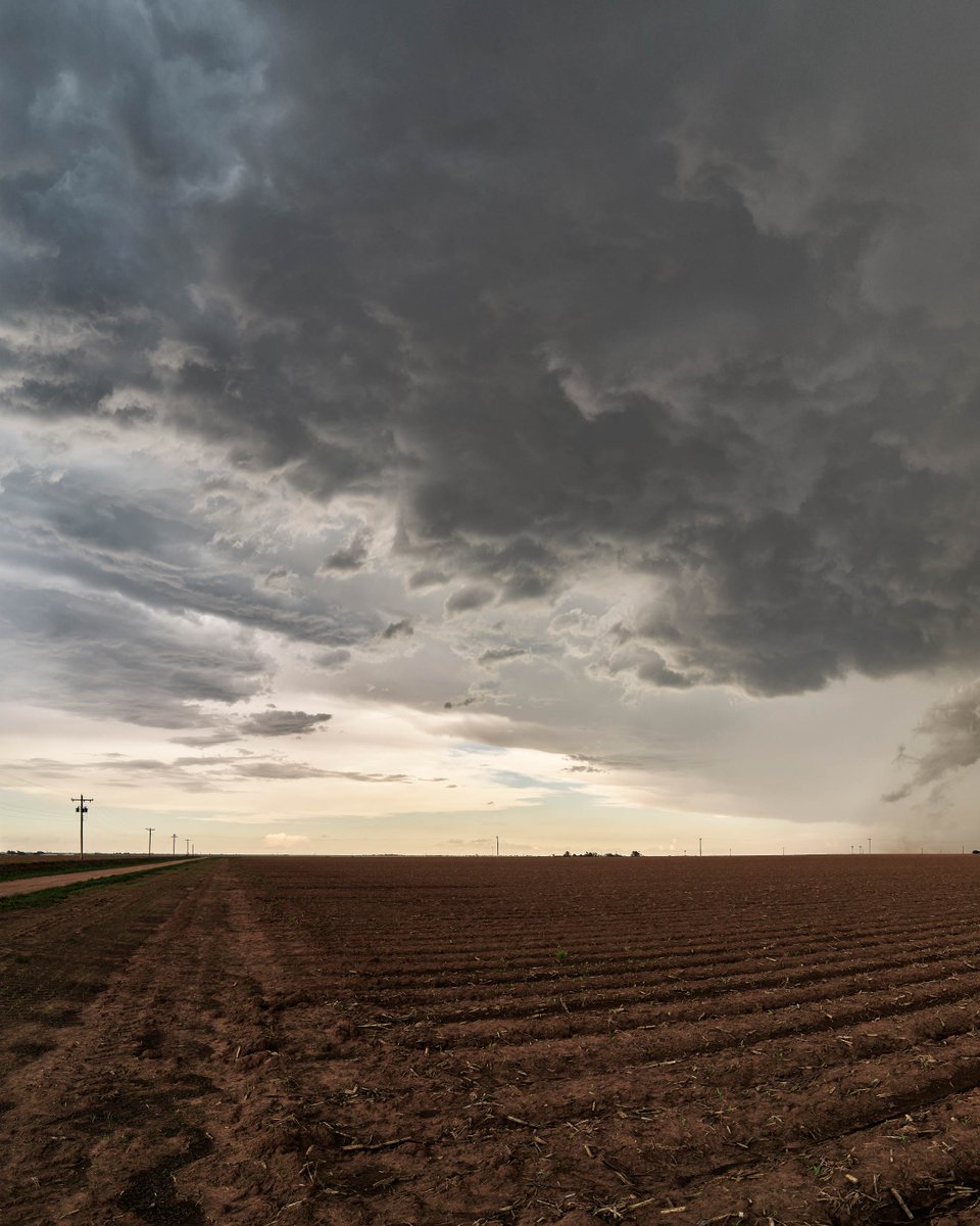 Phase One tweet media