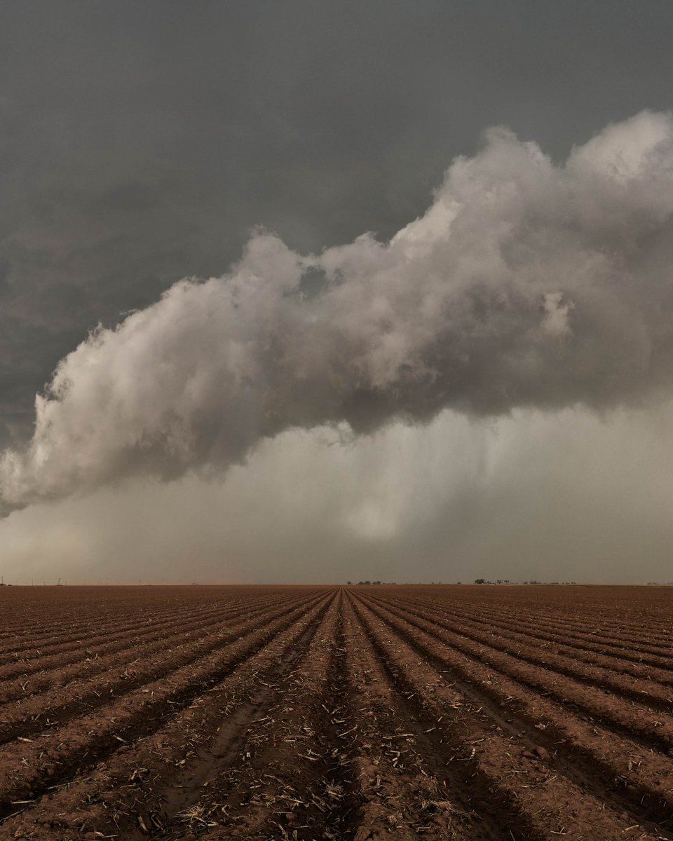 Phase One tweet media