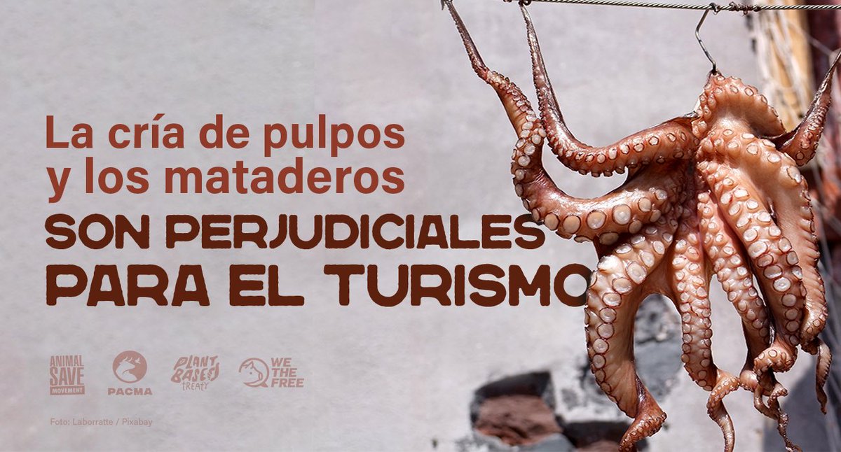 ValpoAnimalSave tweet media