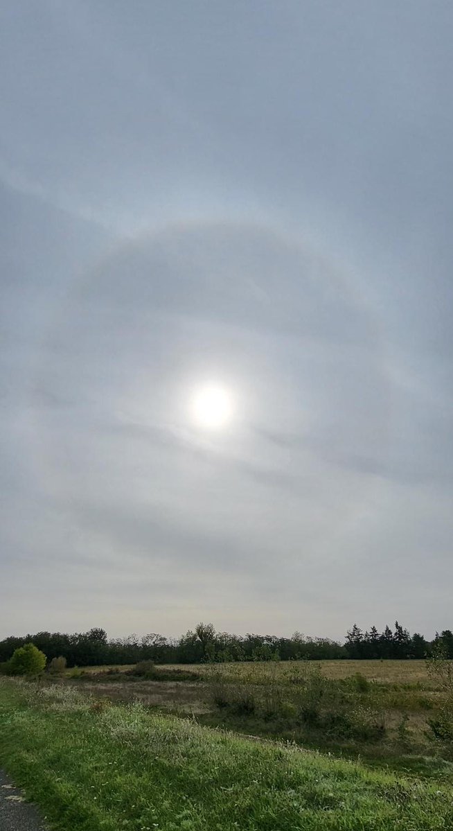 En marge du temps perturbé  sur 🇬🇧, voile de cirrostratus dans le Grand Ouest.
Ce voile est composé de cristaux de glace, à l'origine du #halo lumineux autour du soleil comme à Combleux (#Loiret).
📸 Merci pour vos obs participatives !

🧐 Explications : meteofrance.com/comprendre-la-…