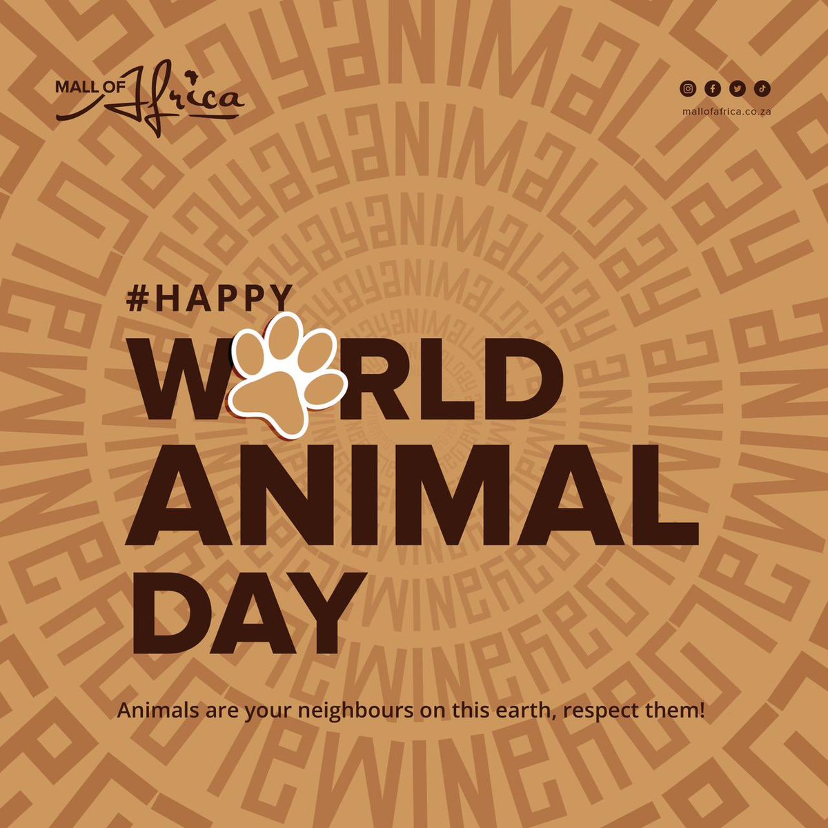 TheMallOfAfrica's tweet photo. Happy World Animal Day from Mall of Africa! 🐾
Make your furry friend’s day unforgettable today. Pop into #AbsolutePets and explore treats and toys for tail-wagging adventures 🐶 and purr-fectly delightful surprises! 🐱
#MallOfAfrica #WorldAnimalDay #AbsolutePets #SpoilYourPet https://t.co/ydiYEfaNhS