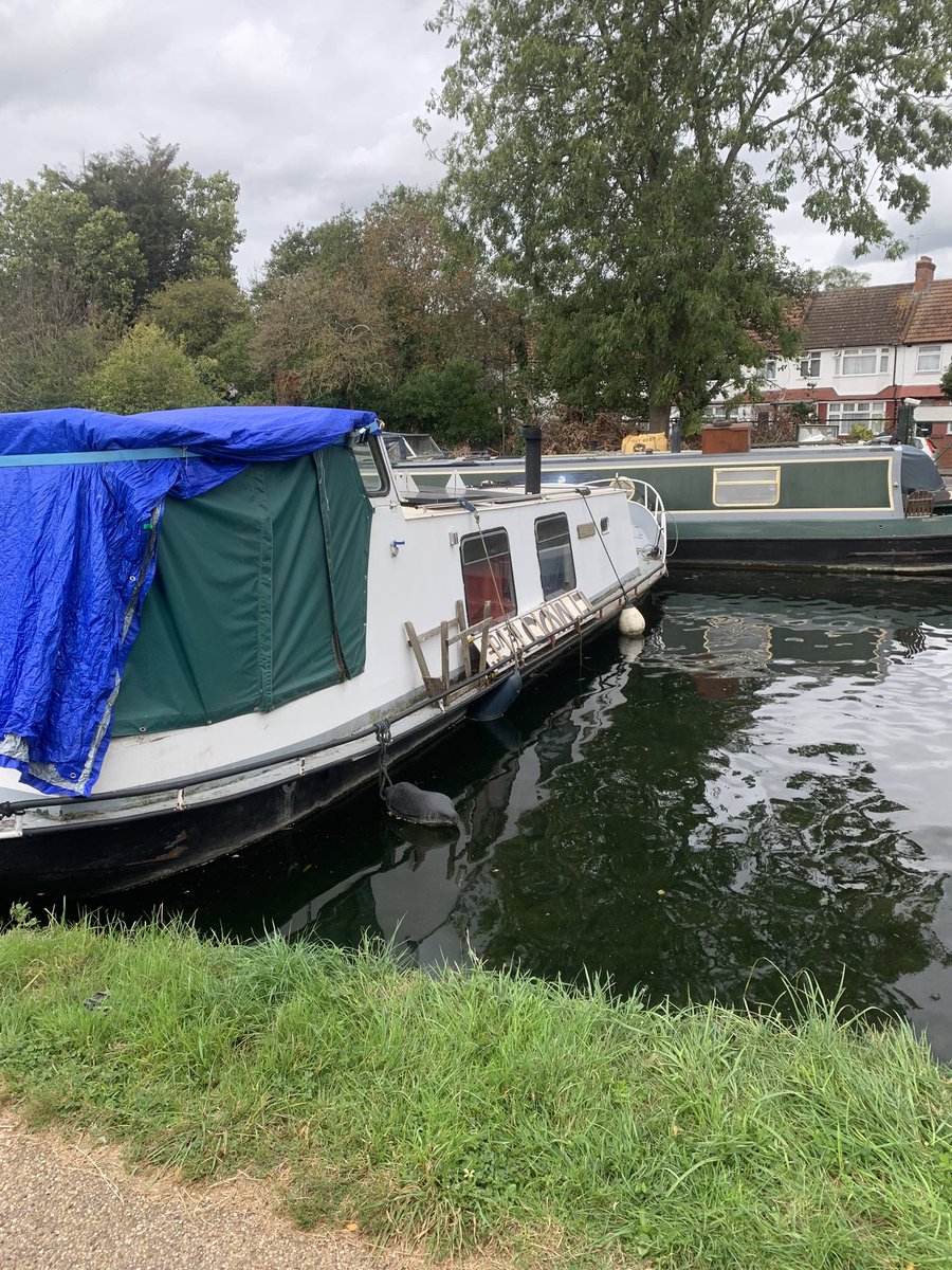 Fin Ryan tweet media