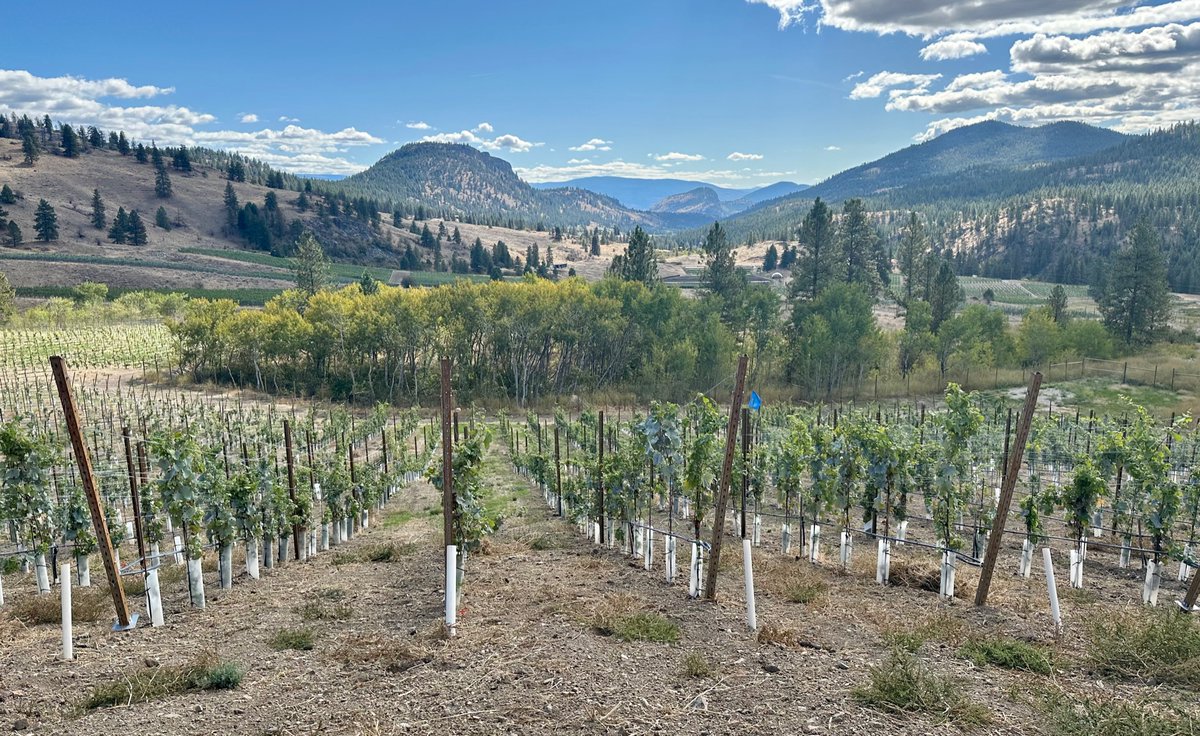 allison_wallace's tweet image. For more than a decade sustainability has been at the heart of everything @OKCrushPad does. Their newest project , Garnet Valley Ranch demonstrates it beautifully through a truly memorable experience at the property itself: tinyurl.com/y3v3tfrr #wine #winelover #BCwine