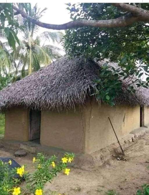 தனிமை tweet media