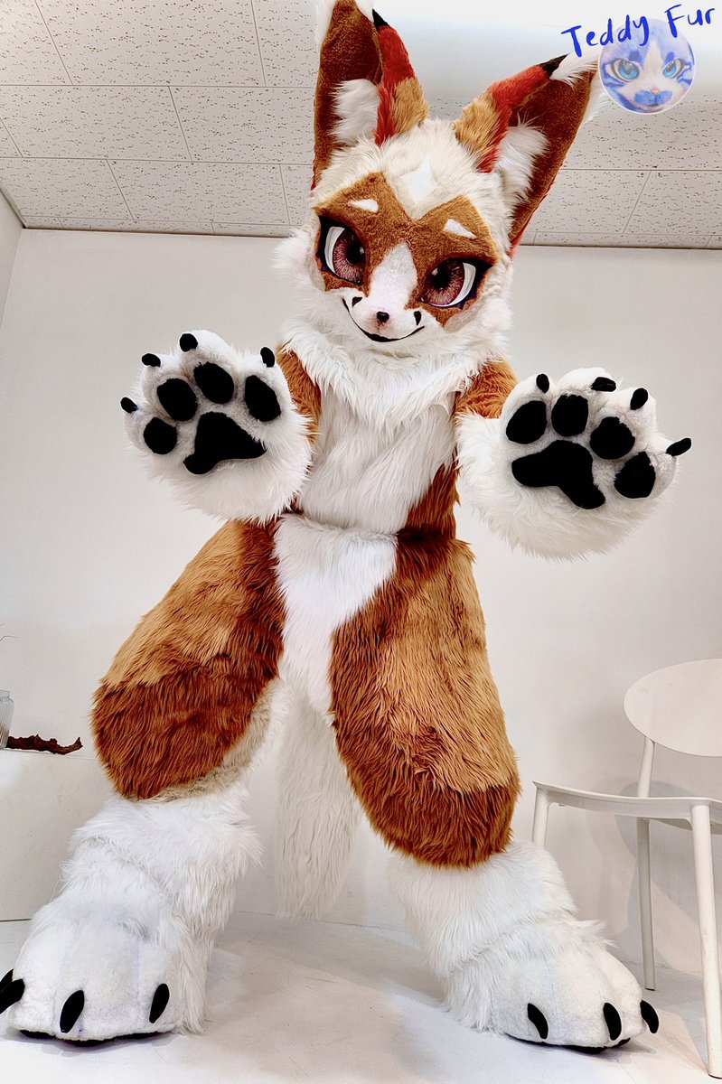 TEDDY_FUR's tweet photo. 🤎🍁　Commission  🦊🧡

#TEDDYFUR
#Fursuit https://t.co/oZ8orbGLRe