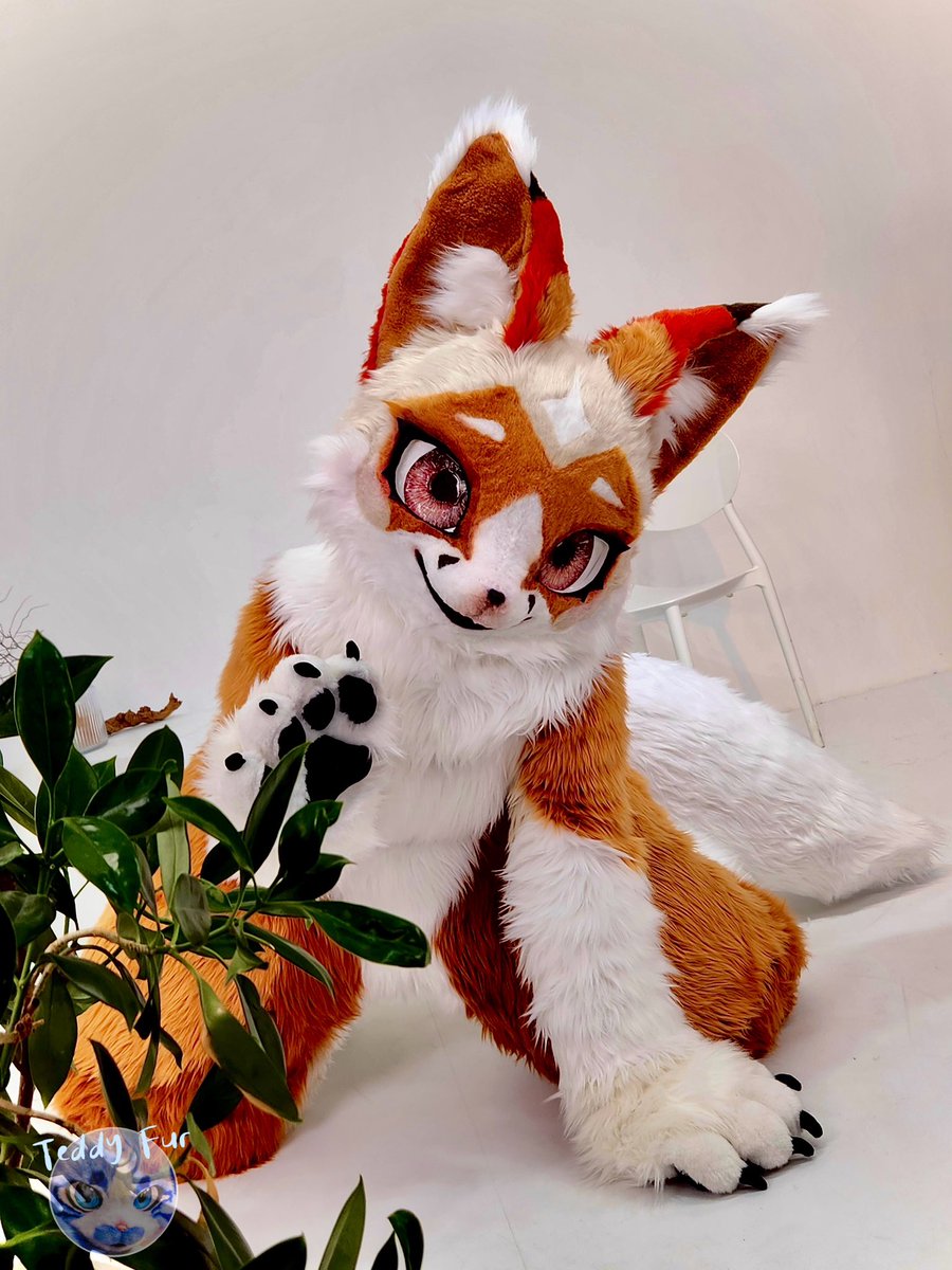 TEDDY_FUR's tweet photo. 🤎🍁　Commission  🦊🧡

#TEDDYFUR
#Fursuit https://t.co/oZ8orbGLRe