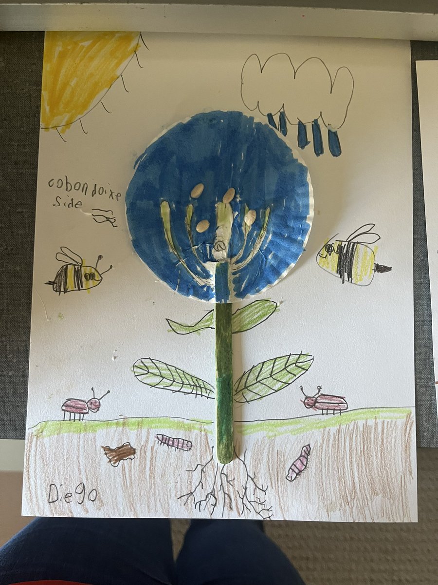 Mrs. Ray tweet media