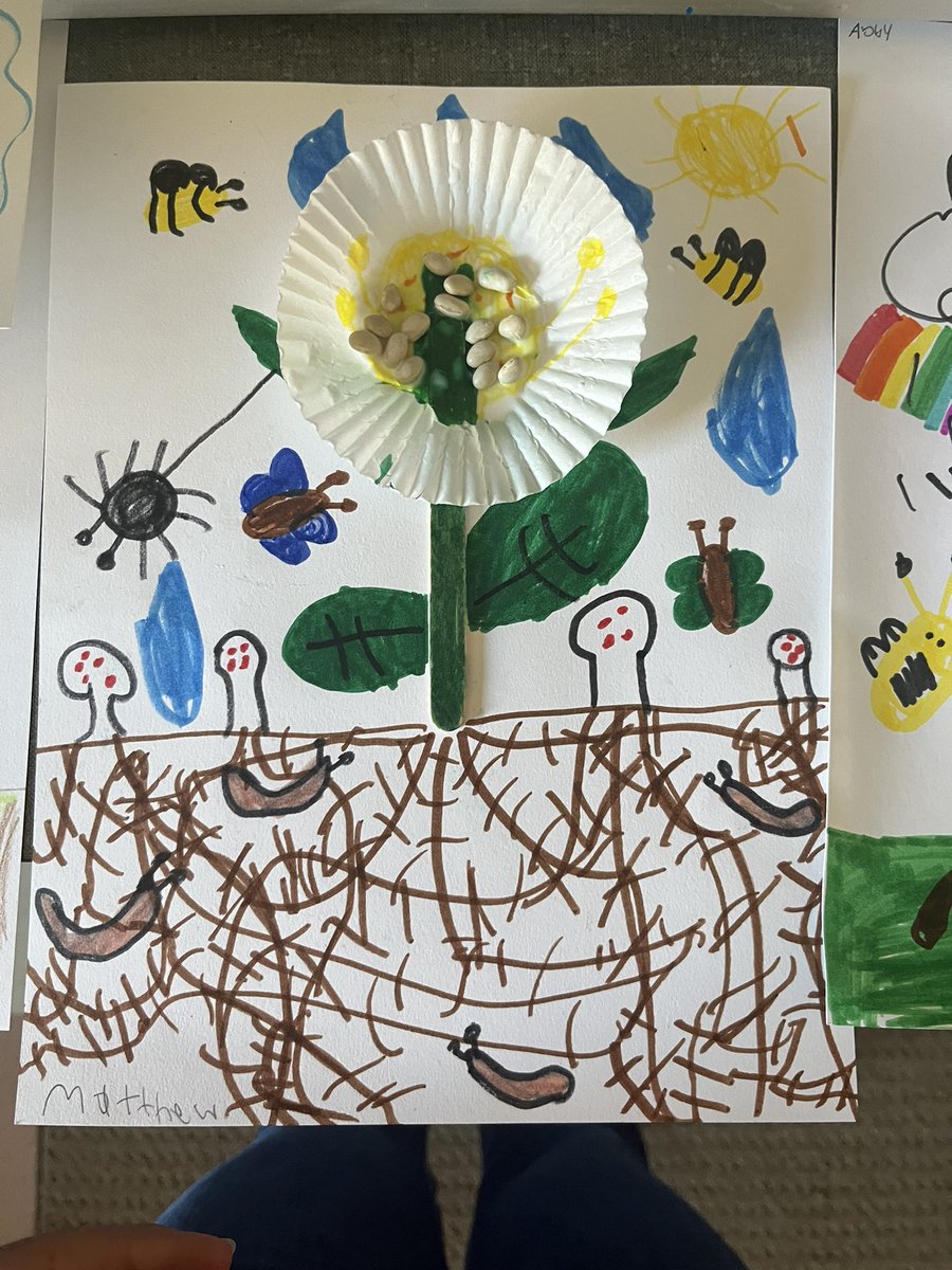 Mrs. Ray tweet media