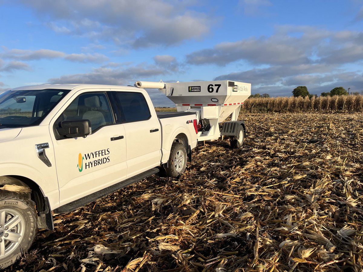 First time this fall waiting for a drying breeze to take out a plot. Bet the grain is still way dry