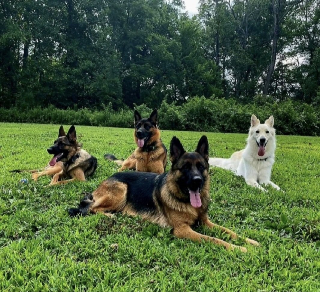 KayCohen18's tweet image. #TeamCommander 💯