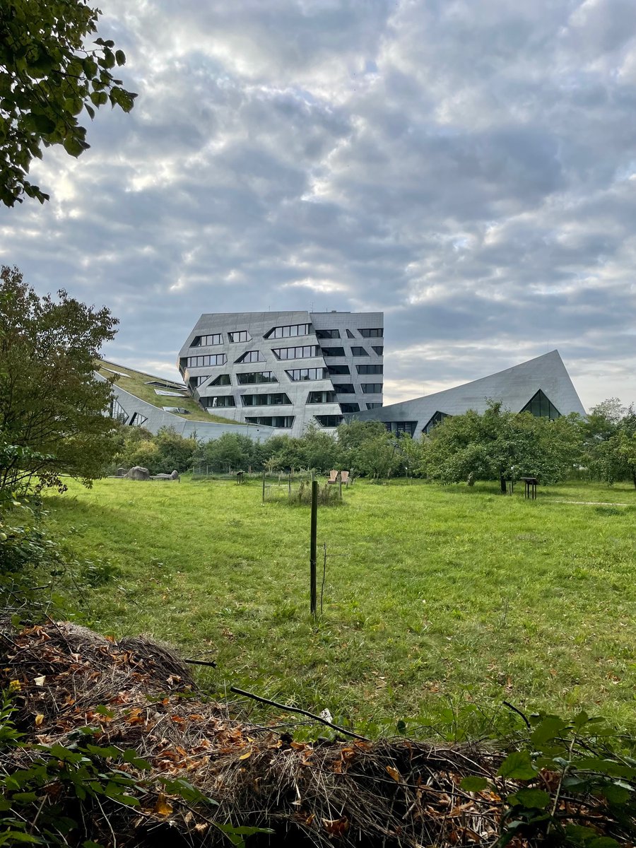 Anna Stöber tweet media