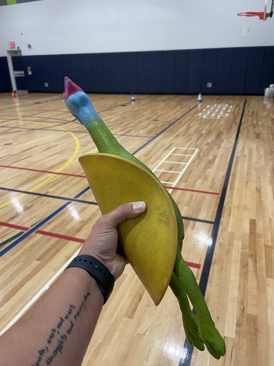 vanhulle_nancy's tweet photo. Time to pair a class favorite, Chicken Taco Tag, with locomotor skills!  Let the learning shenanigans begin.  This game is the brain child of @pe4everykid https://t.co/5kepXEWrHH