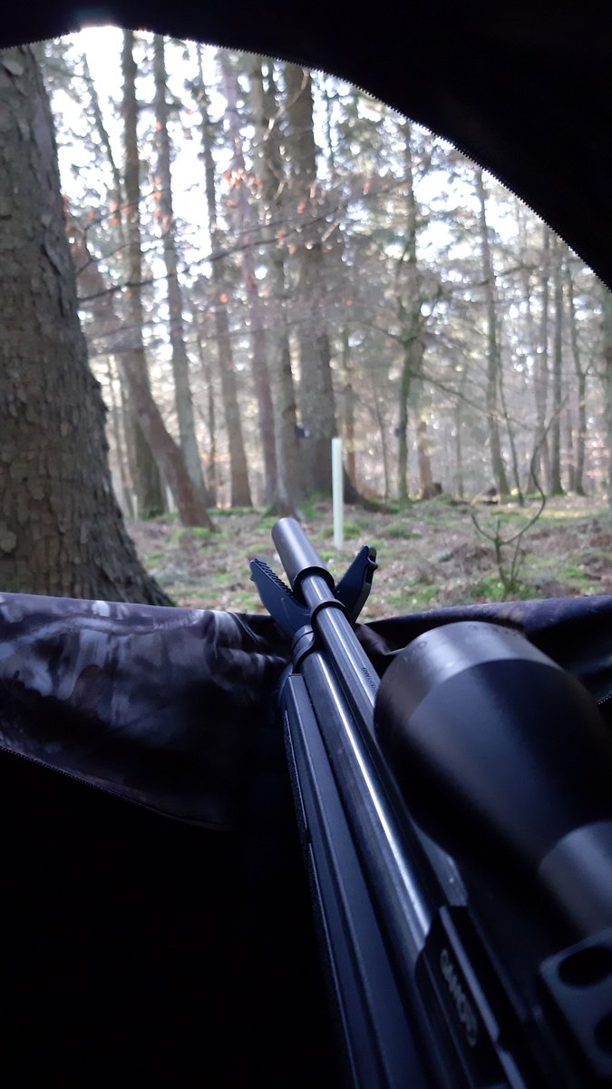 BandDRSG's tweet photo. During Red Squirrel Awareness week we pay tribute to  amazing work carried out by our volunteers. In all weathers they put an incredible amount of effort into protecting our native Red Squirrels. As a result, the populations of Reds are holding on, even increasing in numbers. 😀 https://t.co/tkJpNP2yzj