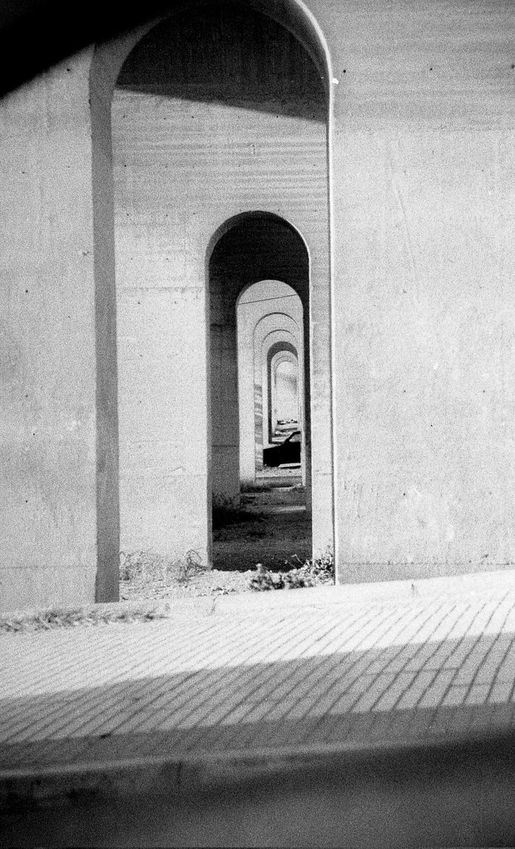 BenjyLens's tweet photo. 🎞: ilford Pan 400
📷: #Canon A-1 https://t.co/Rua6bfhhpS