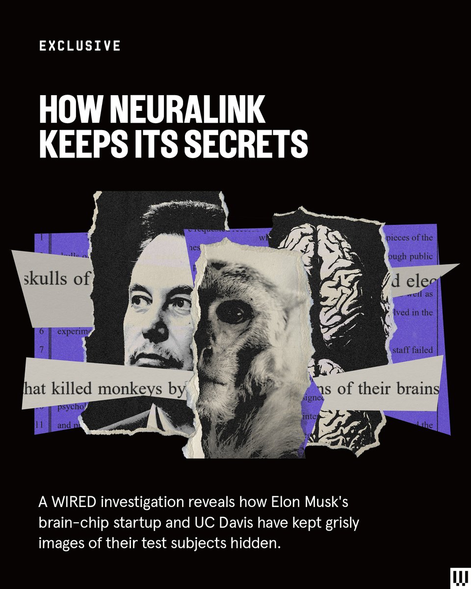 WIRED's tweet photo. Just 12 hours post-Neuralink implant, a helpless macaque lay suffering...
Shocking details have emerged as WIRED investigates the links between Neuralink and public university UC Davis, unveiling a story of concealed horrors 🧵
🎨Anjali Nair/PCRM / 🔗 https://t.co/B03GoiYmfE https://t.co/58f2dV7pqc