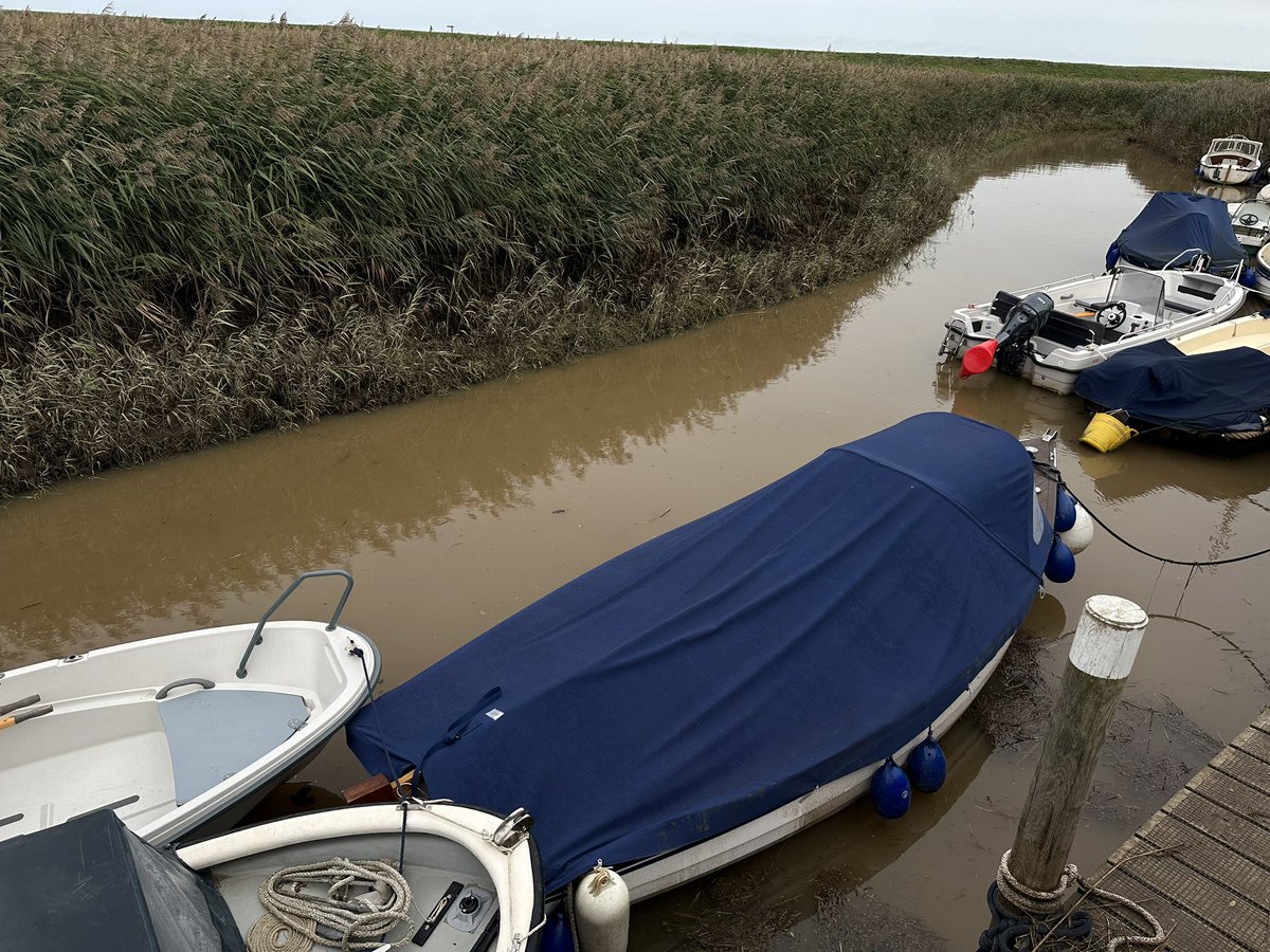 I’ve never seen the Glaven looking so muddy 😥 <a href="/RiverGlaven/">Glaven Conservation</a> <a href="/GlavenEel/">Glaven Eel</a> #chalkstream