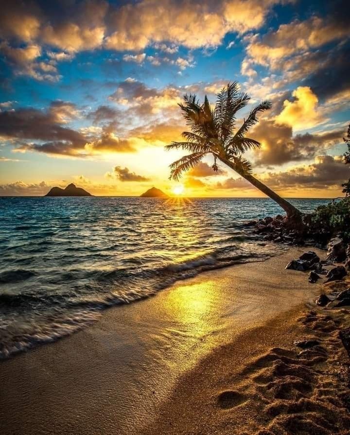 rs_artecasa's tweet image. 😊