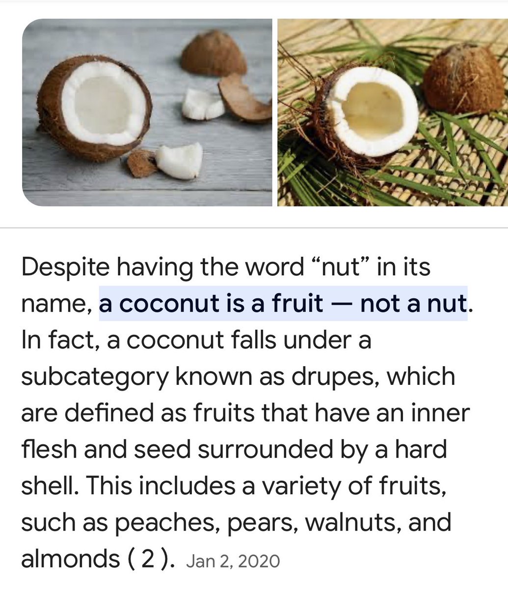 Trace_Cohen's tweet photo. Coconut is actually a fruit, not a nut https://t.co/ktw7OH9oy9
