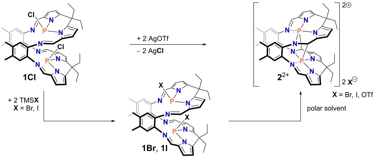 SchulzGroup's tweet photo. Liesa Eickhoff will present a poster (#NDDK, No. P47) about the reactivity of #Pacman phosphanes "1" and of the #dication "2" resulting from (pseudo)halide exchange processes. For first examples, take a look at her papers:
https://t.co/DFPbQ4Saa8
https://t.co/Nrygrh4SHq https://t.co/de87ur9k4D