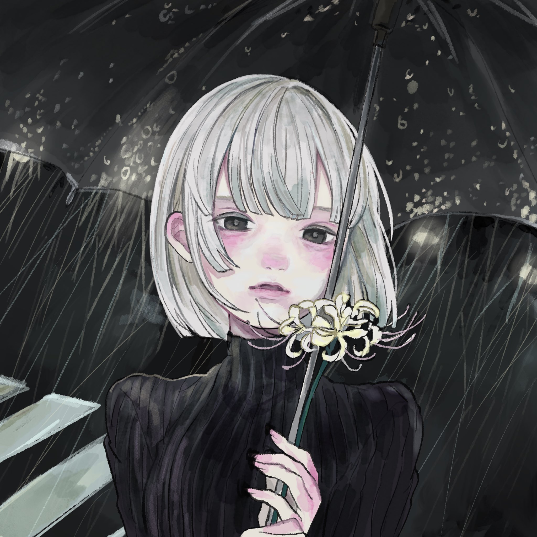猫屋敷 (@n_ekoyasiki) / X