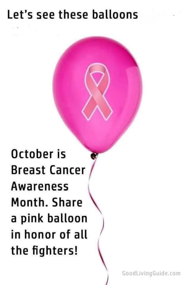 Jaynie Malorni tweet media