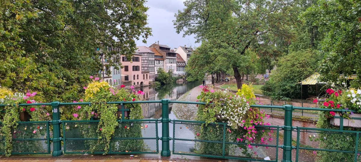 BendixLabeit's tweet photo. I had the privilege of joining the Journée Interdisciplinaire du Muscle Inflammatoire in beautiful Strasbourg. There was a consensus that dysphagia should be a crucial target for disease-specific therapy in myositis. Check out our paper: https://t.co/sPxRSkhp17
#Dysphagia https://t.co/S3nSHWxbez