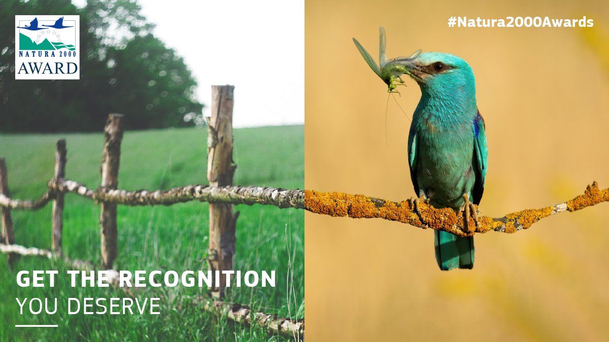 FACEforHunters's tweet photo. ๐ The 2024 European #Natura2000Awards application deadline is now extended to October 12, 2023, 23:59 CET.
๐ข ๐ Open to all, including #hunters playing a key role in #biodiversity conservation and #HabitatRestoration. ๐ฟ๐ฆ #Natura2000 #HuntersForConservation @EU_ENV
Learn more and apply:
๐ https://t.co/s0hshtZ5QQ