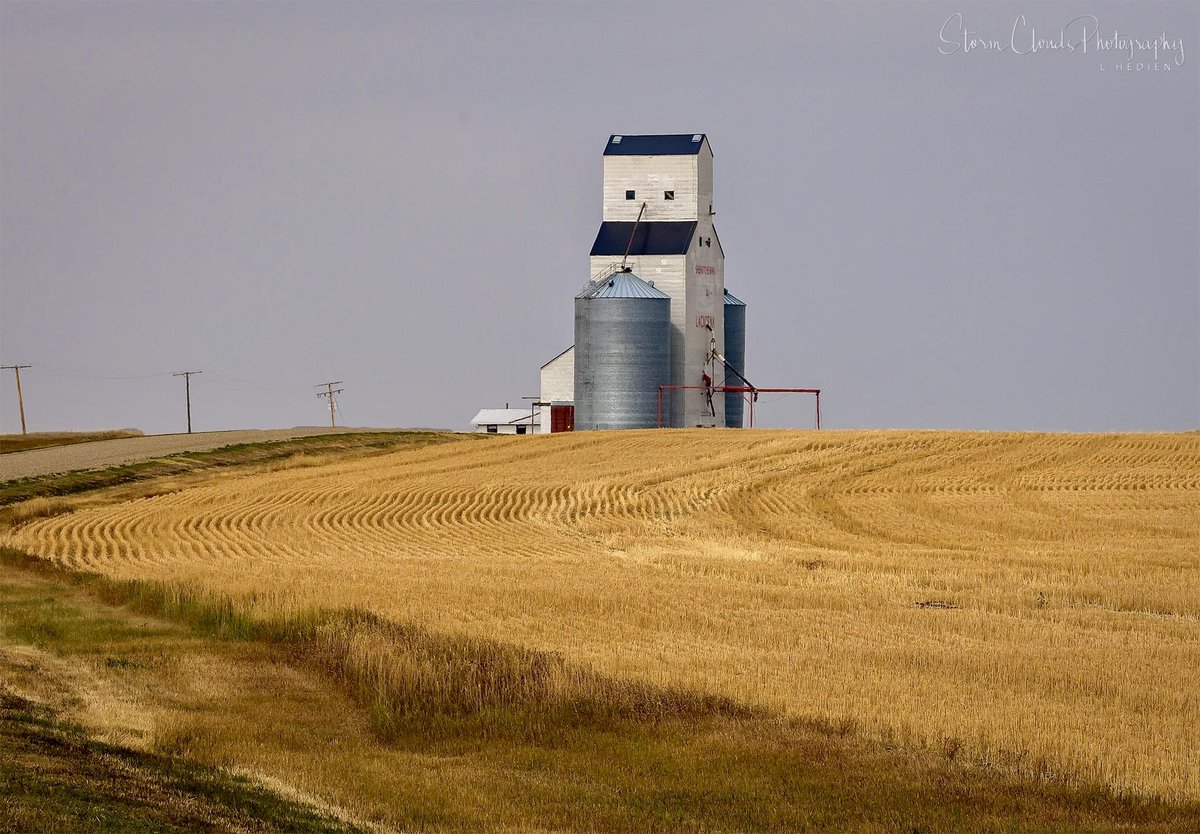 Did a #saskatchewan 🇨🇦 #Canada #abandoned #tour in August. 😍 🚐 #grainelevator #americana #greatplains #Travelphotography #farm #rural #decay #abandonedplaces #abandonedphotography #urbex #forgotten #thephotohour #nikonoutdoors #zcreators #z7 #natgeo #natgeoyourshot @discovery