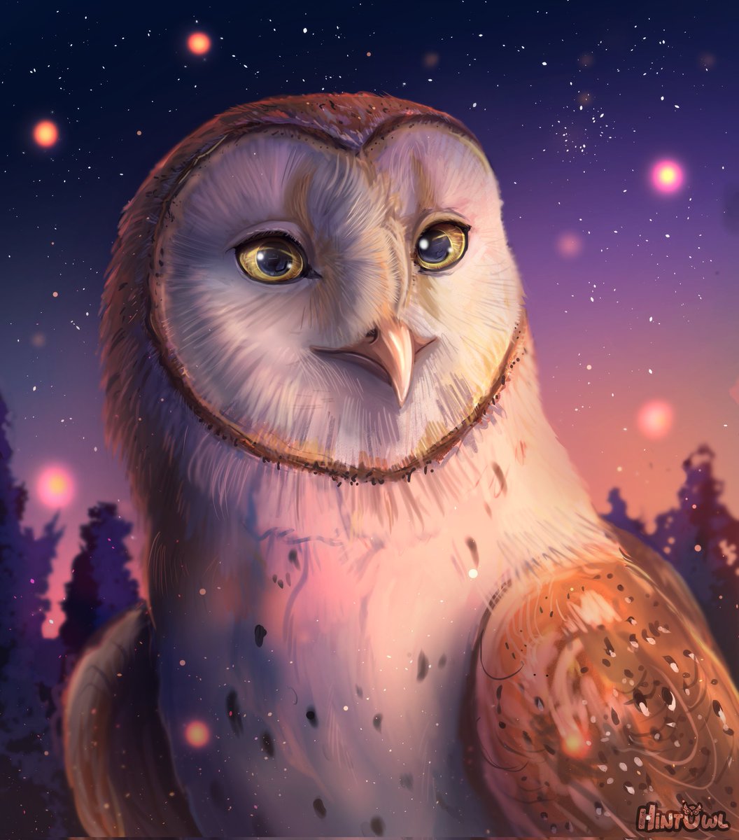 Hintowl 🦉 | hintowl.bsky.social | tweet media