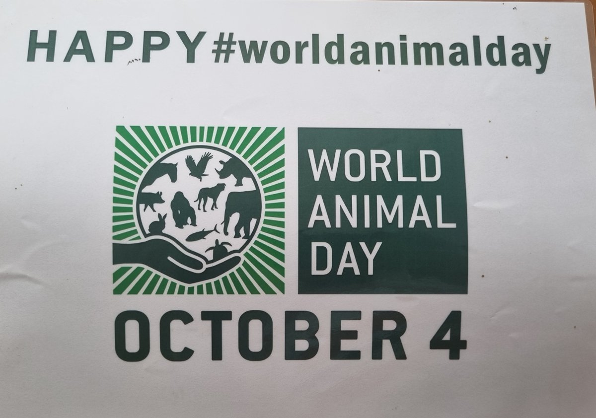 On this day, we rejoice in the remarkable diversity of the animal kingdom and contemplate the significance of animal welfare on a global scale. With the theme "Great or Small, Love Them All," we seize this moment to pay tribute to every creature. #WorldAnimalDay