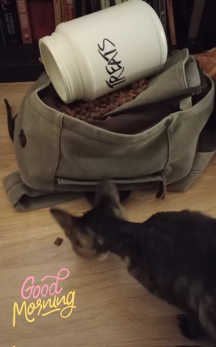 Carol Dannenhoffer tweet media