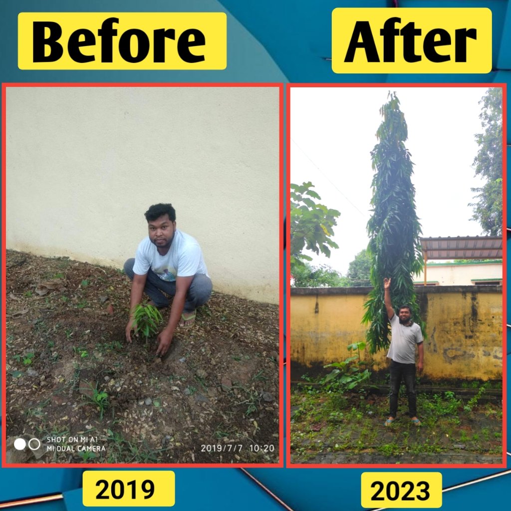 Plant 2019 to 2023 
#plants #natural #earth #earthlovers #myearth