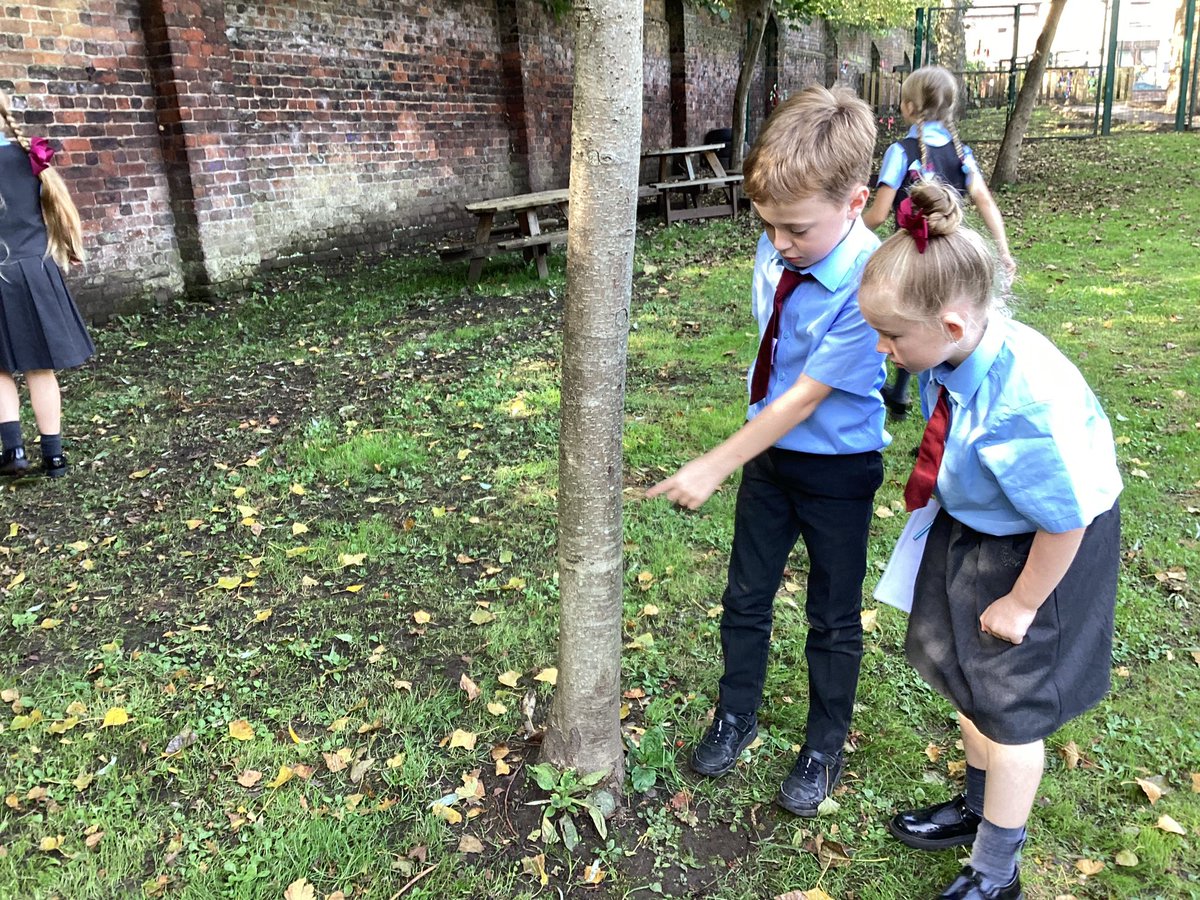 St Charles Catholic Primary Year 4 tweet media