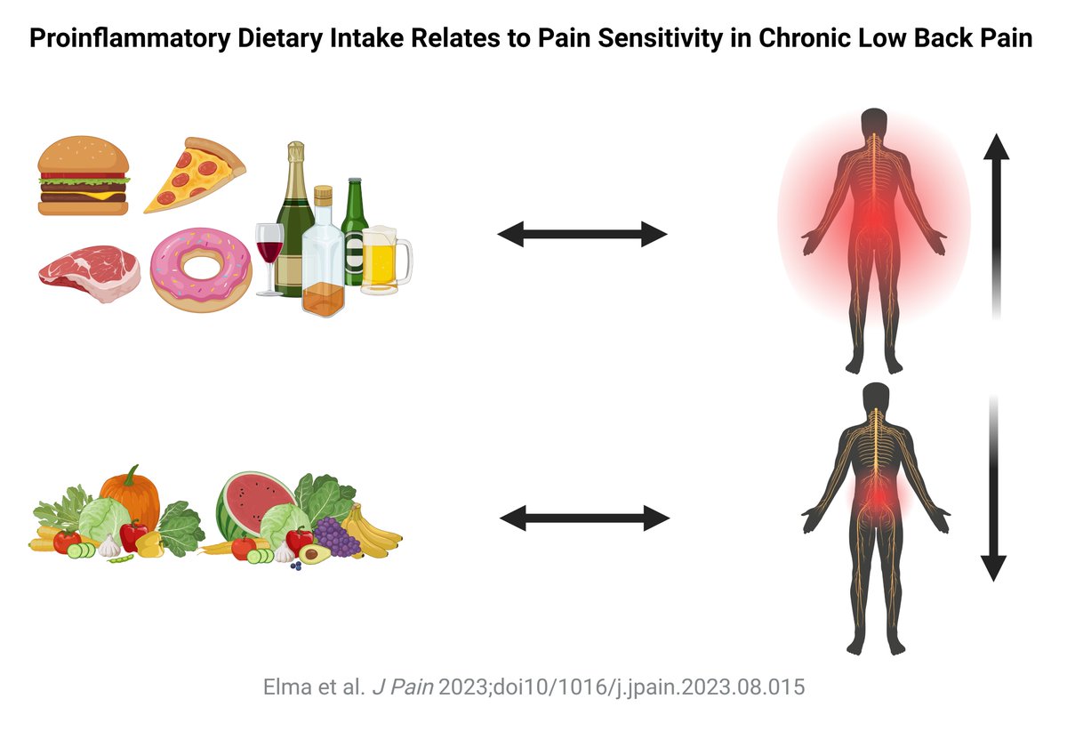 JoNijsBE's tweet photo. Dear X Friends, #Proinflammatory #Dietary Intake Relates to #Pain Sensitivity in Chronic Nonspecific Low #Back Pain: https://t.co/0GoBRPoExj @VUBrussel @UZBrussel @AnneleenM_ @TomDeliens @omerelma @PaininMotion https://t.co/wYDJV4VJse