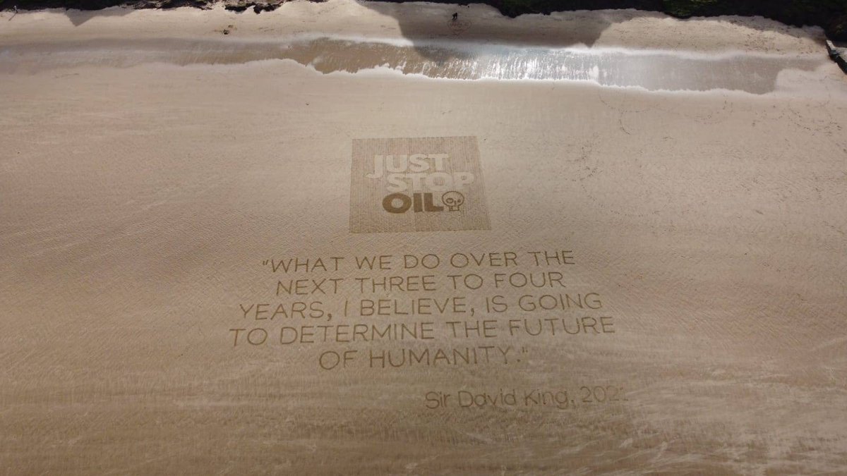 'What we do over the next three to four years, I believe, is going to determine the future of humanity' – Sir David King. 'I've scrapped that' – Rishi Sunak.