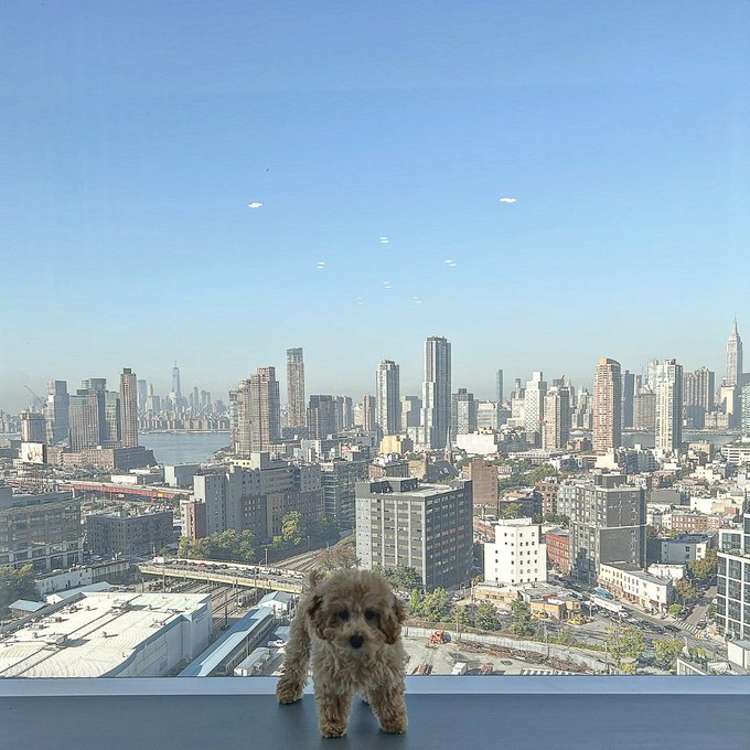 My Daughter 👶🏽👨🏾&zwj;🍼 https://t.co/Q9159rYI2e