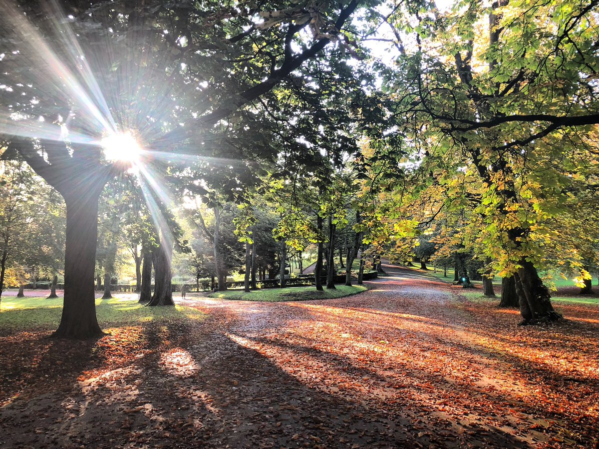 Rosie Freeman tweet media