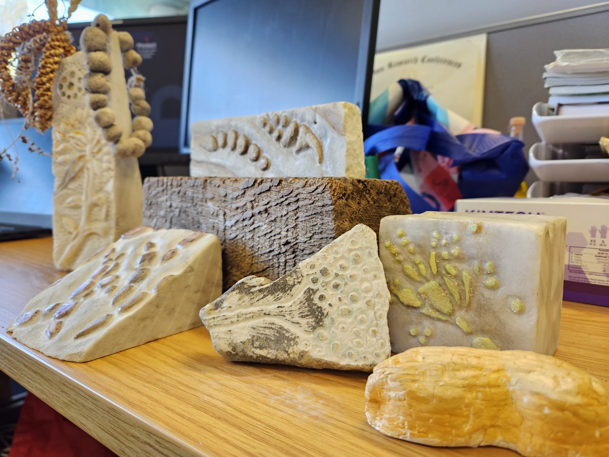 Magan Centre of Applied Mycology (MCAM) (@cranmycology) on Twitter photo The art pieces have arrived! ๐๐๐
J-2 for the exhibition of <a href="/AnnaDumitriu/">Anna Dumitriu</a> #BioArt on Mysteries and Mycotoxins. Come to <a href="/CranfieldUni/">Cranfield University</a> Stafford Cripps and join us on an artistic exploration of #mycotoxins. Supported by <a href="/BritMycolSoc/">British Mycological Society</a> and <a href="/CranfieldUni/">Cranfield University</a>! The art pieces have arrived! ๐๐๐
J-2 for the exhibition of <a href="/AnnaDumitriu/">Anna Dumitriu</a> #BioArt on Mysteries and Mycotoxins. Come to <a href="/CranfieldUni/">Cranfield University</a> Stafford Cripps and join us on an artistic exploration of #mycotoxins. Supported by <a href="/BritMycolSoc/">British Mycological Society</a> and <a href="/CranfieldUni/">Cranfield University</a>!