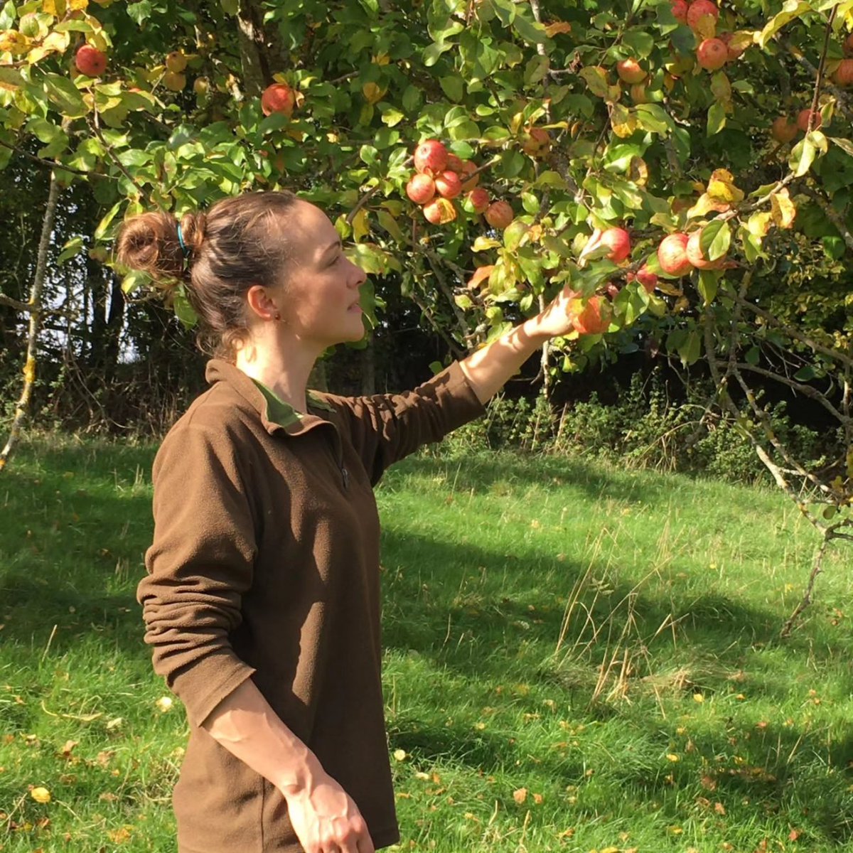 Honey's Cider tweet media