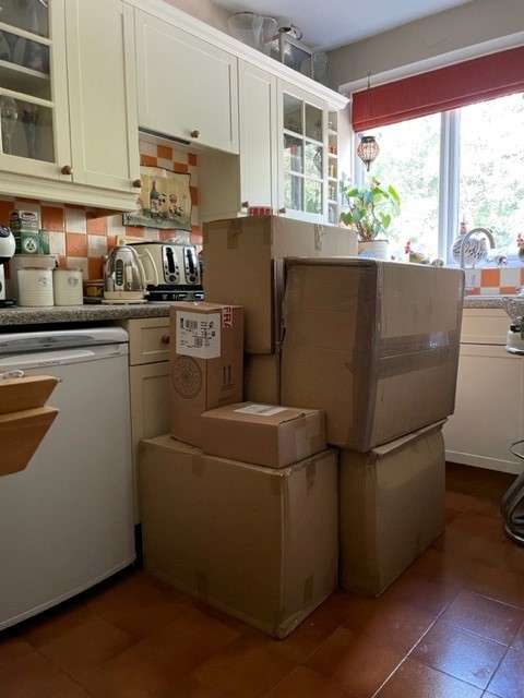 F_TRC's tweet photo. This is the state of my kitchen until Friday - the boxes are all the #PGAwards2023 trophies.  Guess its a good excuse to order takeaways, as I can't get to the cooker! #EventLife https://t.co/UUFgXjZFna