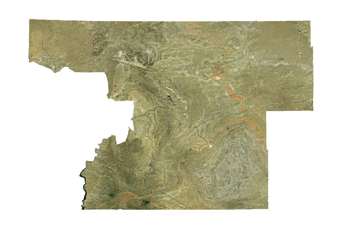 every census tract tweet media