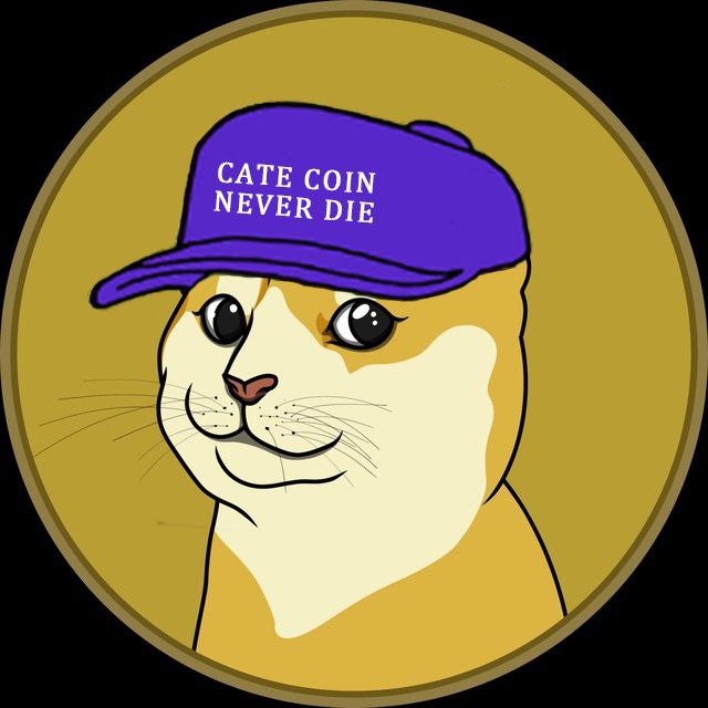 pepeXglobal's tweet photo. @WhaleInsider $CAT

X1000 Opportunity 

3 Major CEXs listed, ready to FLY
4th CEX coming

Caté beats Dogé

Dont Miss
Cate exchange under construction 
@catecoinerc20 $CAT https://t.co/4LXjhRgDSd