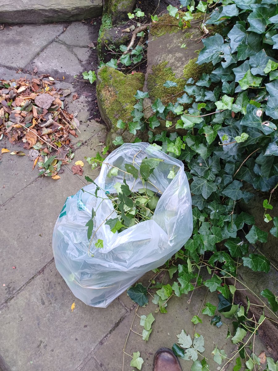 Friends of Derby Park Bootle 🌳 tweet media