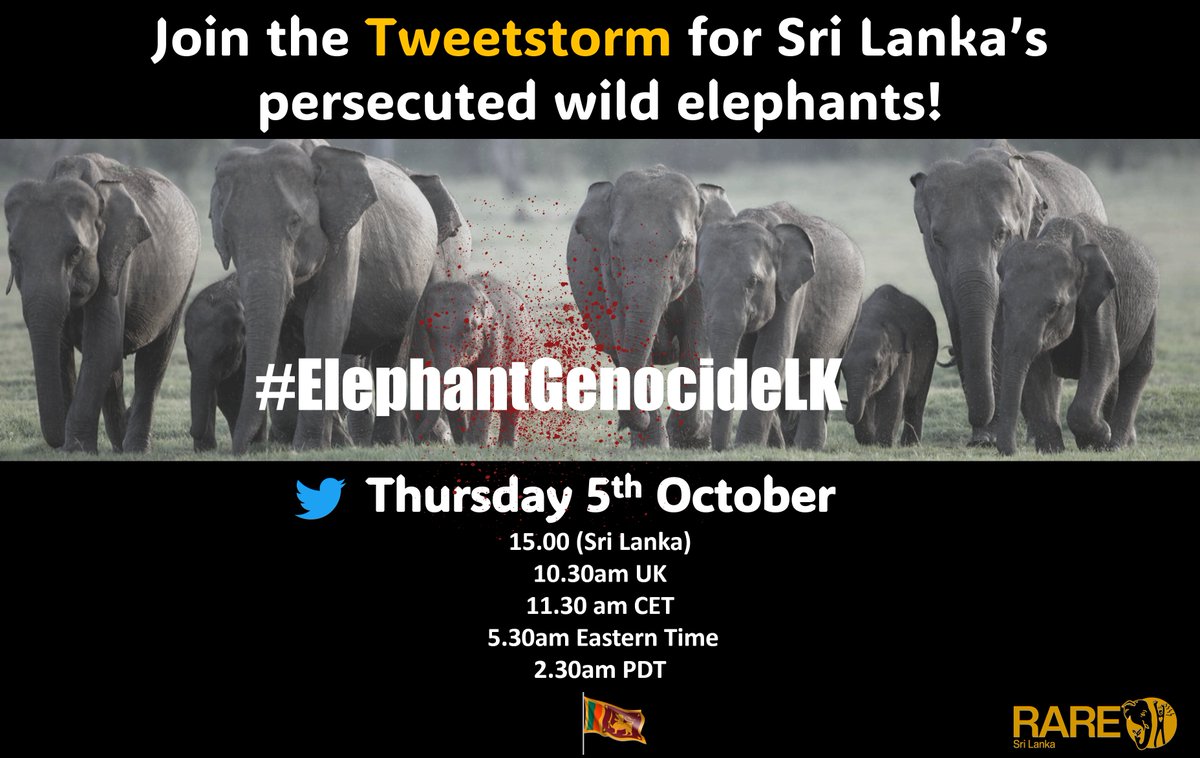 Join the Tweet (X) storm to help save Sri Lanka's wild elephants ! Automated 'one click to tweet' sheet 👉 sites.google.com/view/elephantg…  STOP🛑#ElephantGenocideLK Extinction looms.