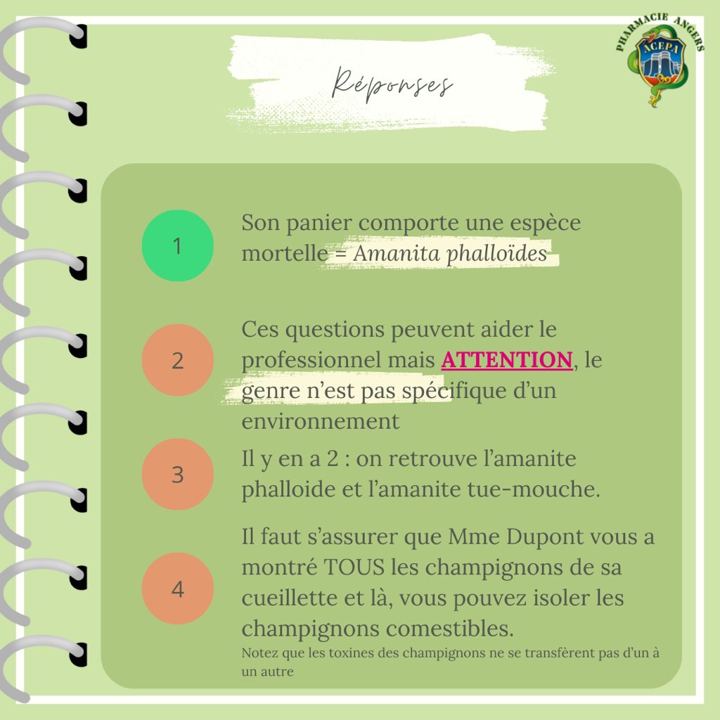 Tutorat ACEPA tweet media