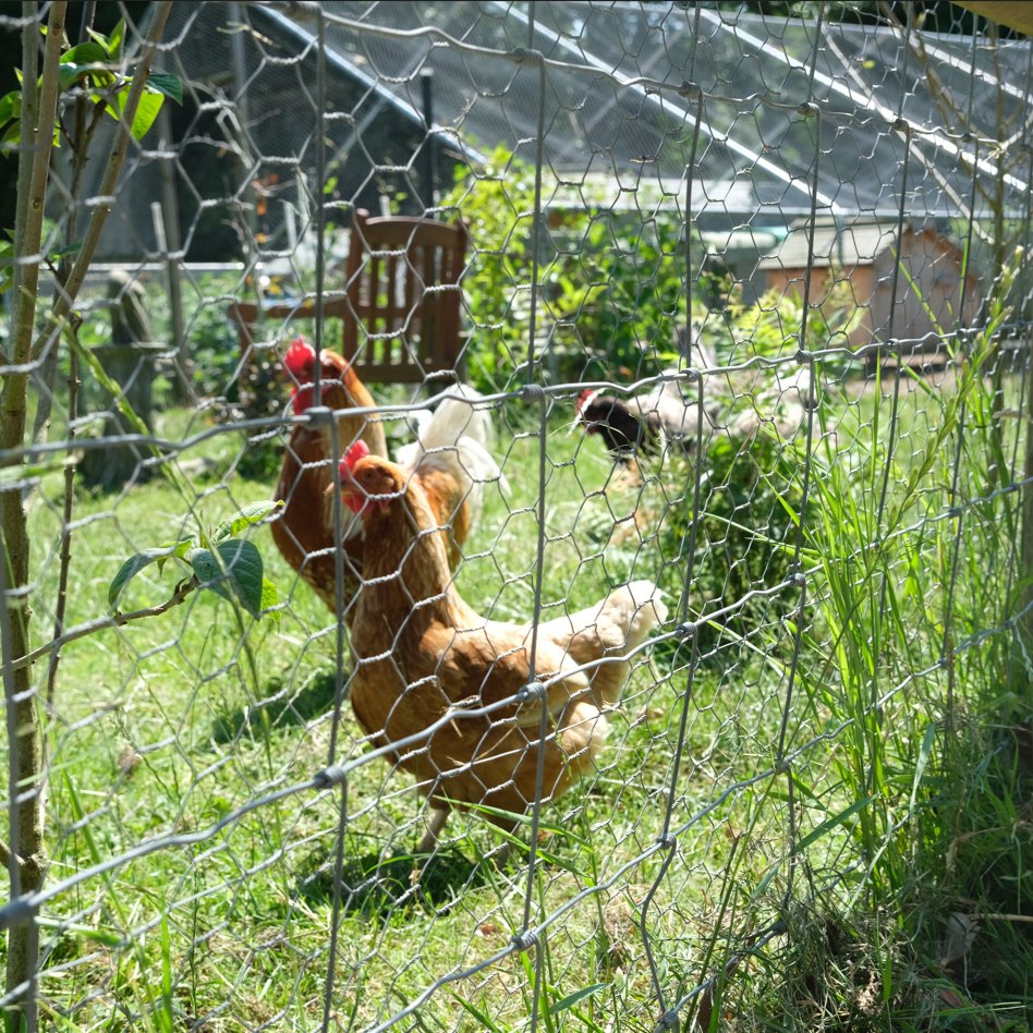 Landscape Services tweet media