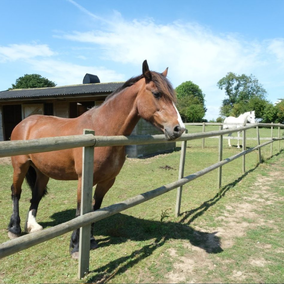 Landscape Services tweet media